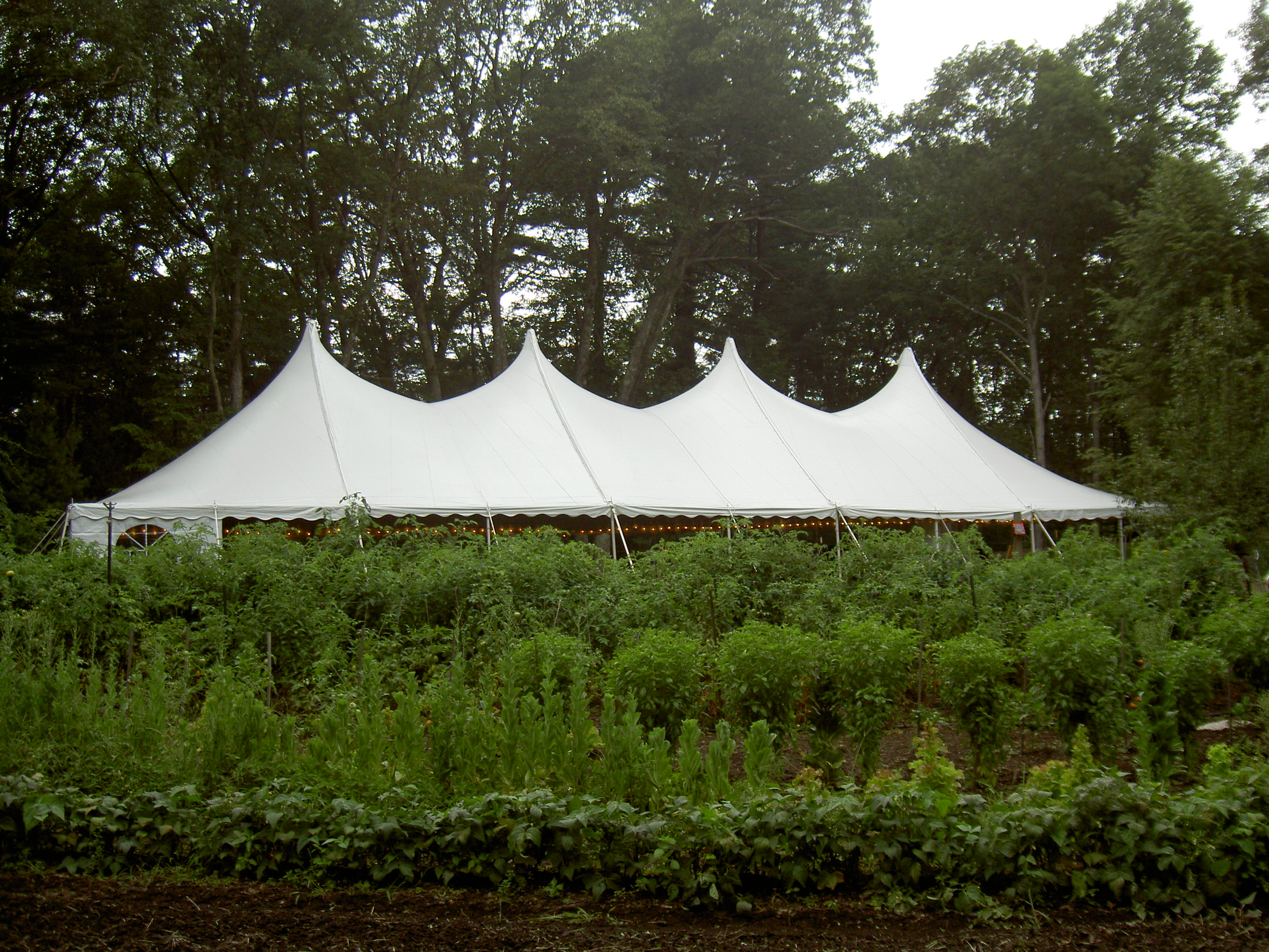 The Elegant Victorian Tent